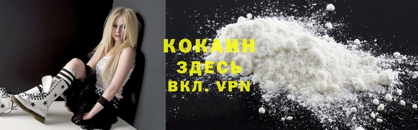хмурый Козловка