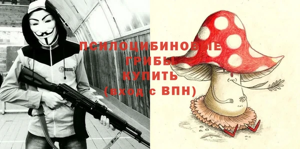 хмурый Козловка