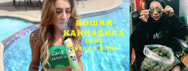 хмурый Козловка