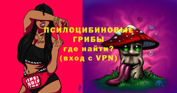 хмурый Козловка